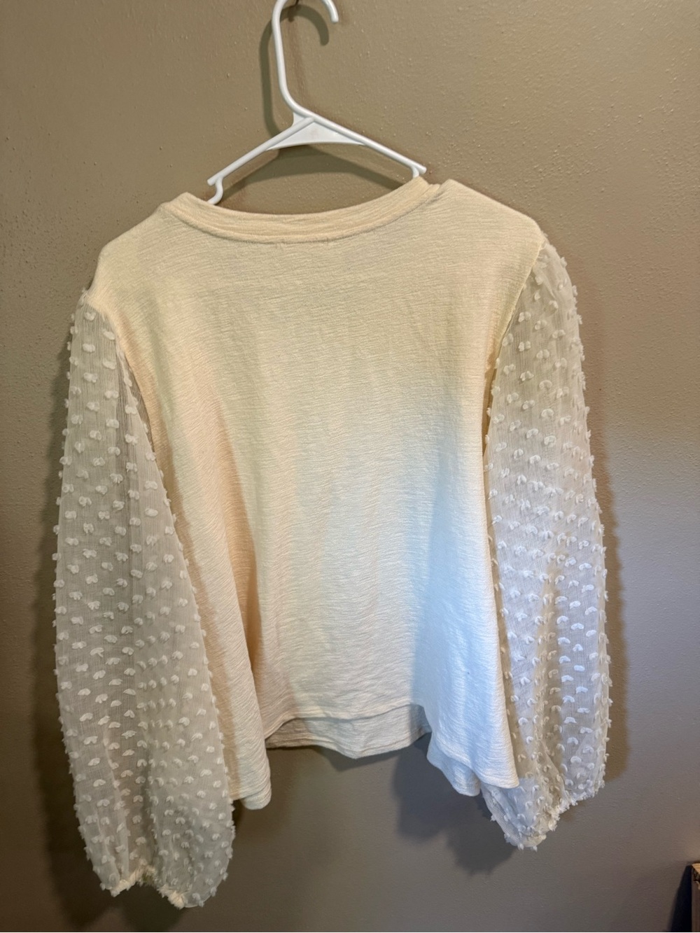 Anthropologie Cream Puff-Sleeve Swiss Dot Blouse